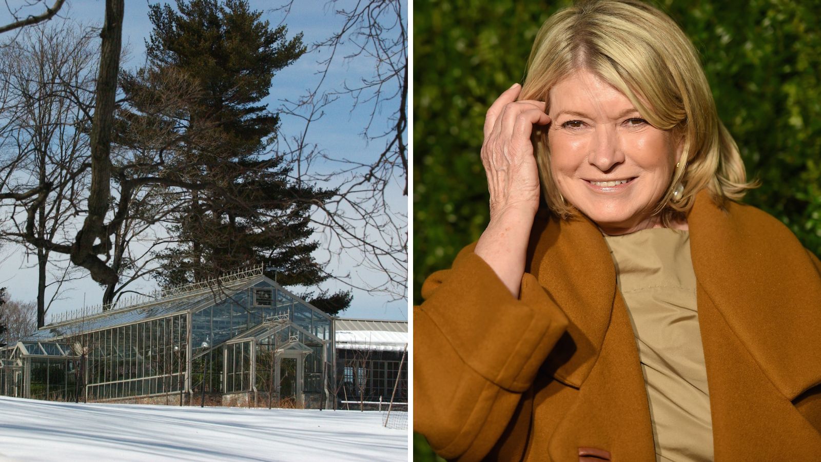 Martha Stewart's greenhouse