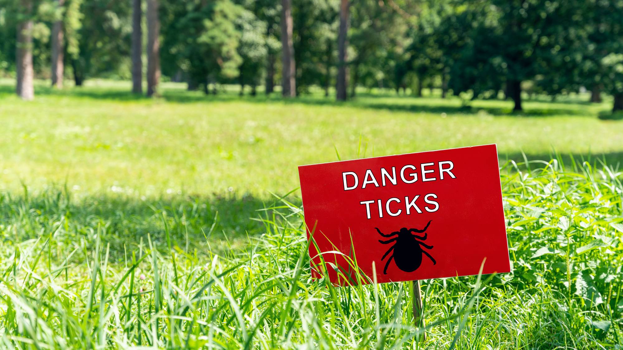 A red sign in a lawn says "Danger Ticks" and has a black outline of a tick
