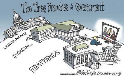 Political cartoon U.S. Trump Fox and Friends three branches of government legislative judiciary checks and balances