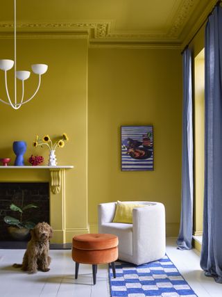 Yellow and cobalt blue paint interior