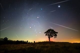Geminid meteor shower long streaks of white lights streak across a star studded sky with a lone tree silhouetted below.