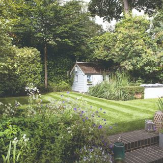 Garden with a mowed lawn and a shed