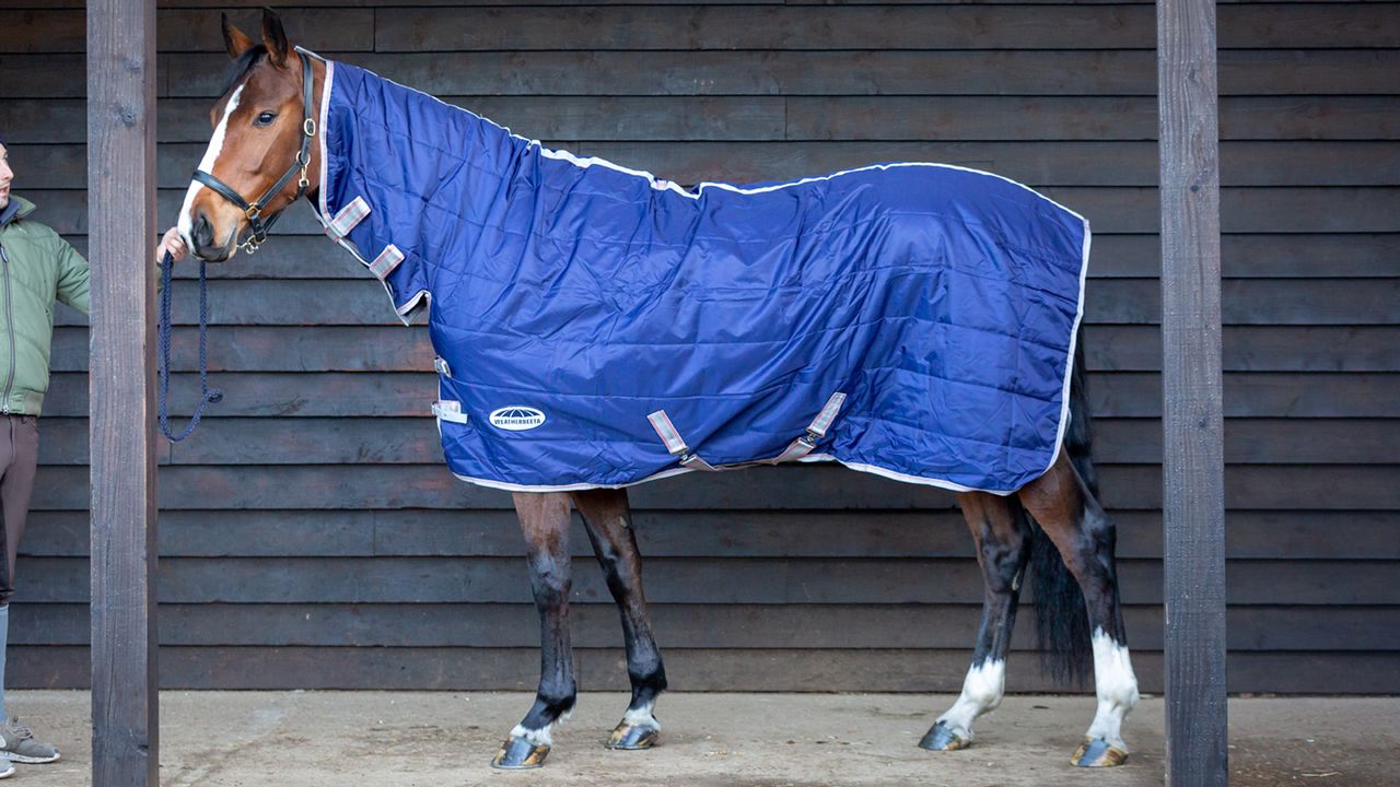 WeatherBeeta ComFiTec 210D Channel Quilt Combo Neck stable rug review