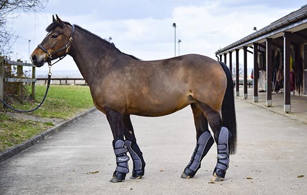 Rhinegold Ripstop Full Length Travel Boots review
