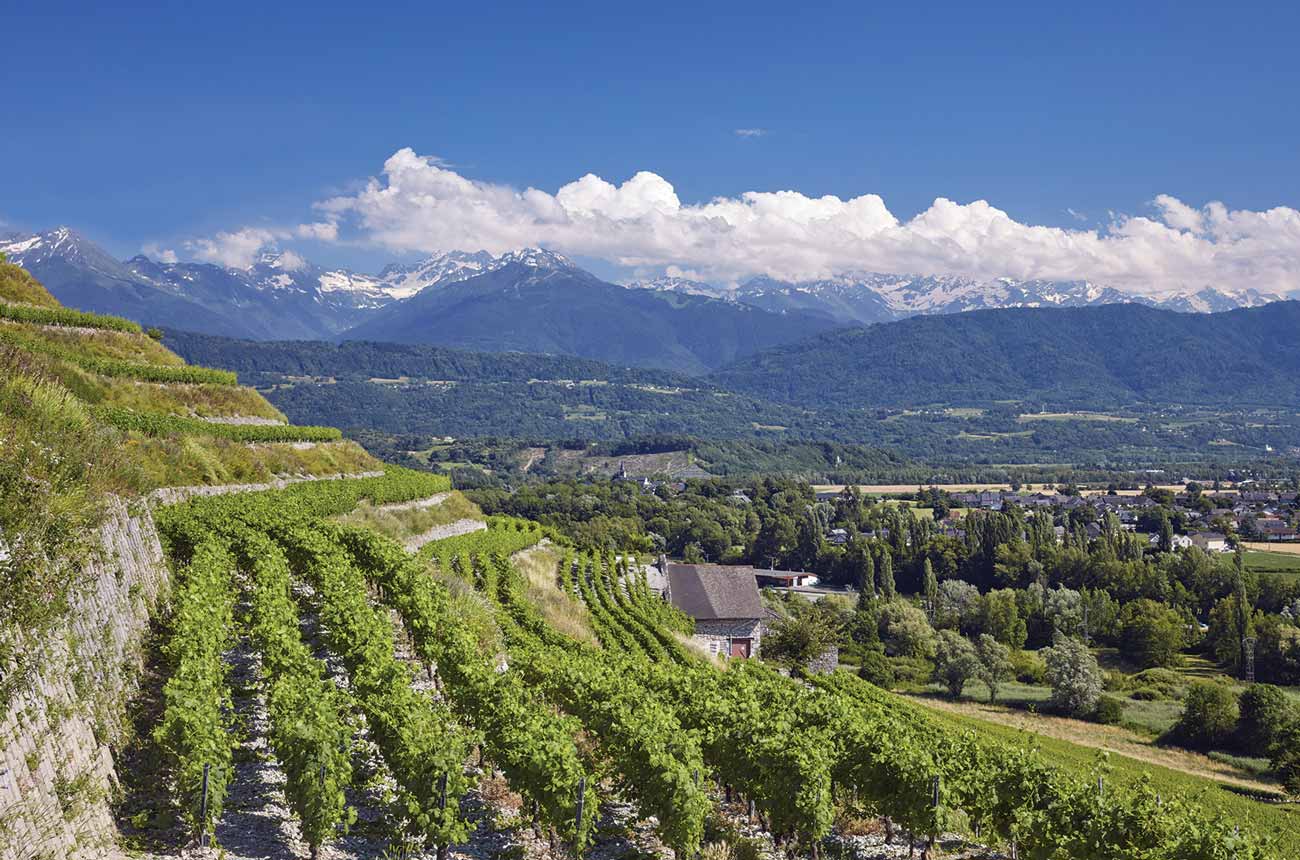 Savoie wines