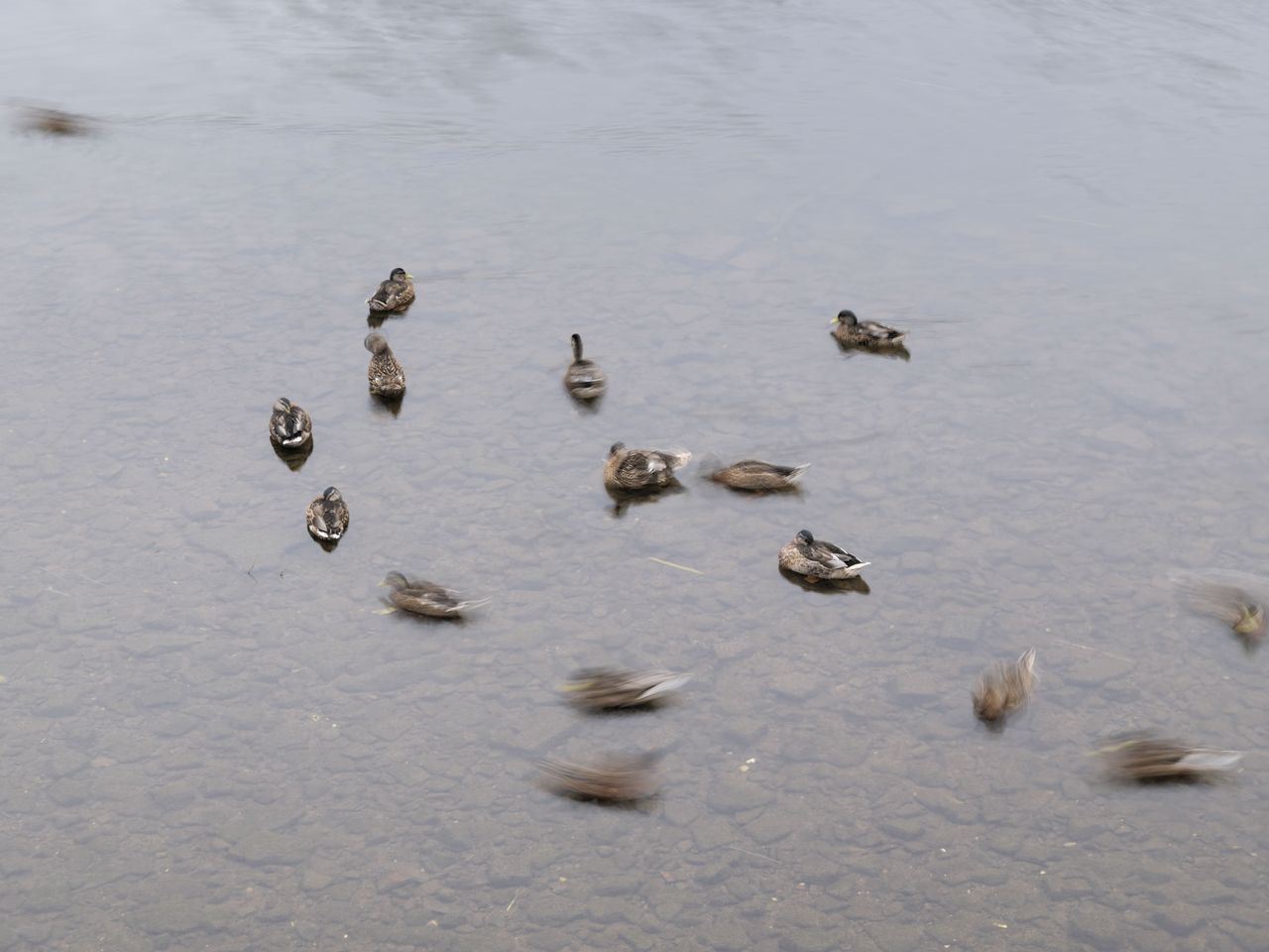 Sample images taken with the Hasselblad X2D II 100C