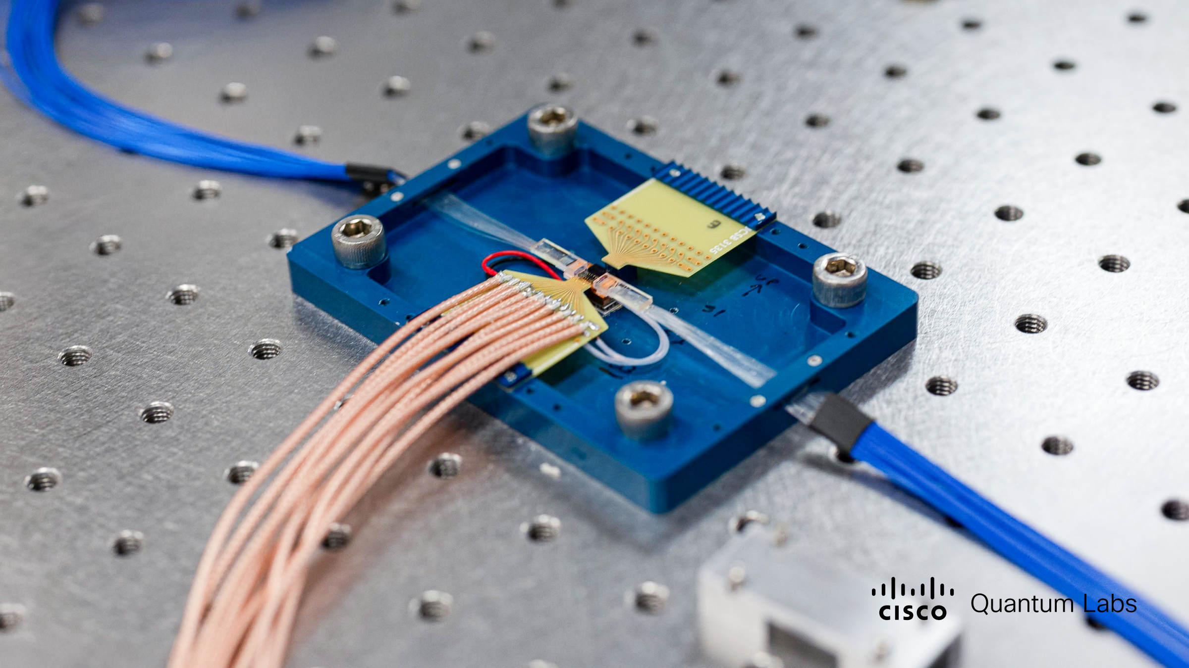 A Cisco quantum network entanglement chip.