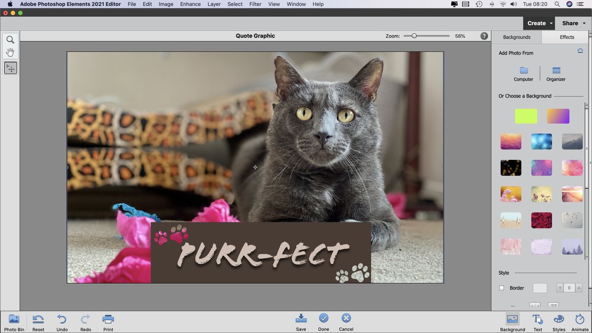 adobe photoshop elements mac free download