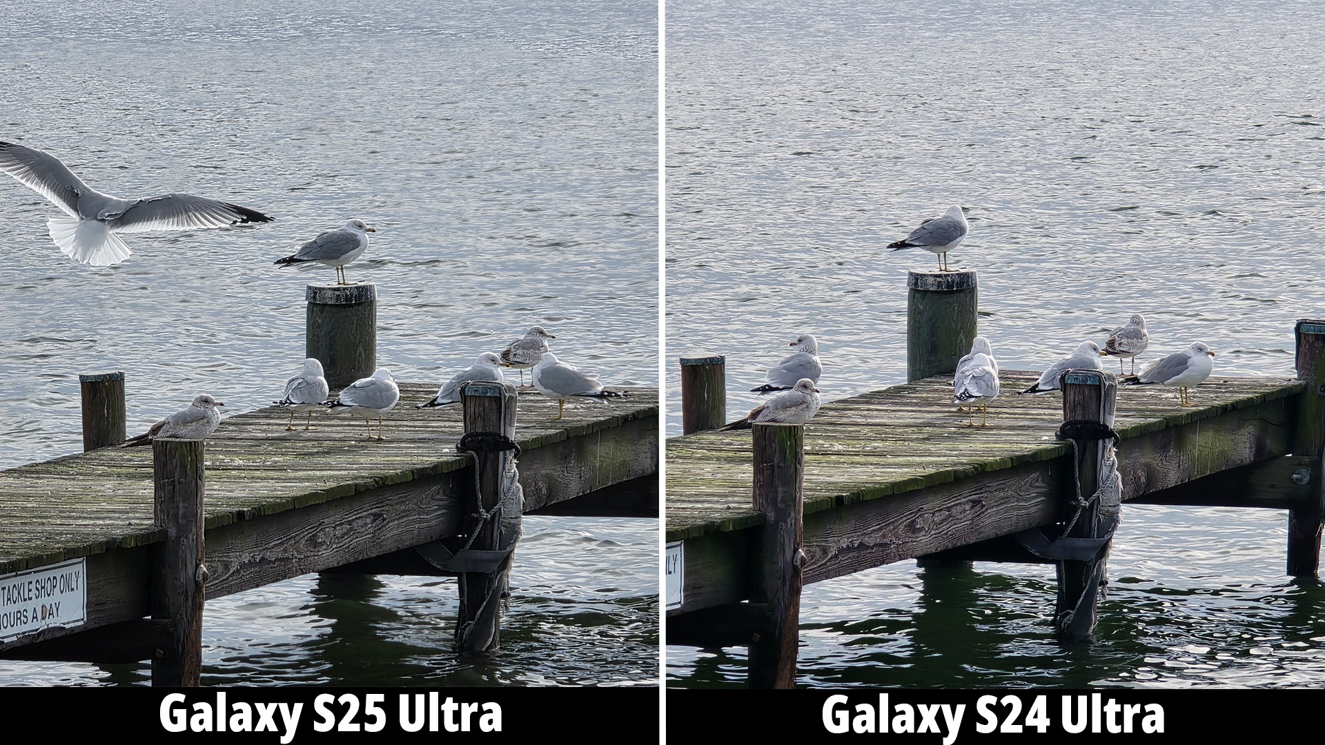 Samsung Galaxy S25 Ultra camera versus the Galaxy S24 Ultra