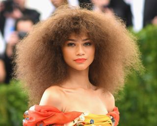 Zendaya attends the 'Rei Kawakubo/Comme des Garcons: Art Of The In-Between' Costume Institute Gala at Metropolitan Museum of Art on May 1, 2017 in New York City.
