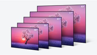 Eine Reihe von LG C1 OLED-Fernsehern hintereinander aufgereiht