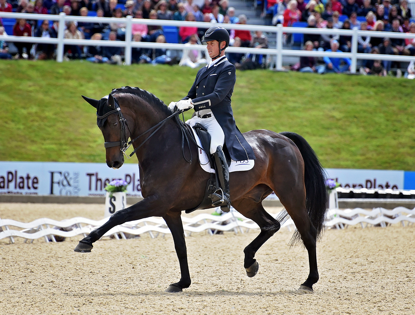 Carl Hester Bolesworth International