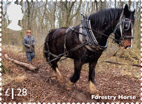 Forestry Horse Stamp