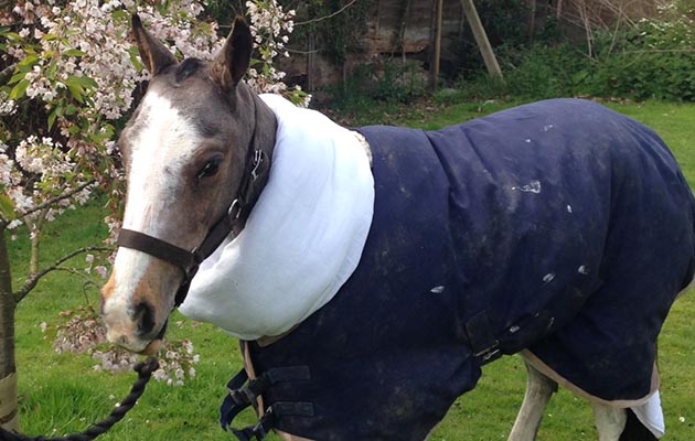 Dora rugged up