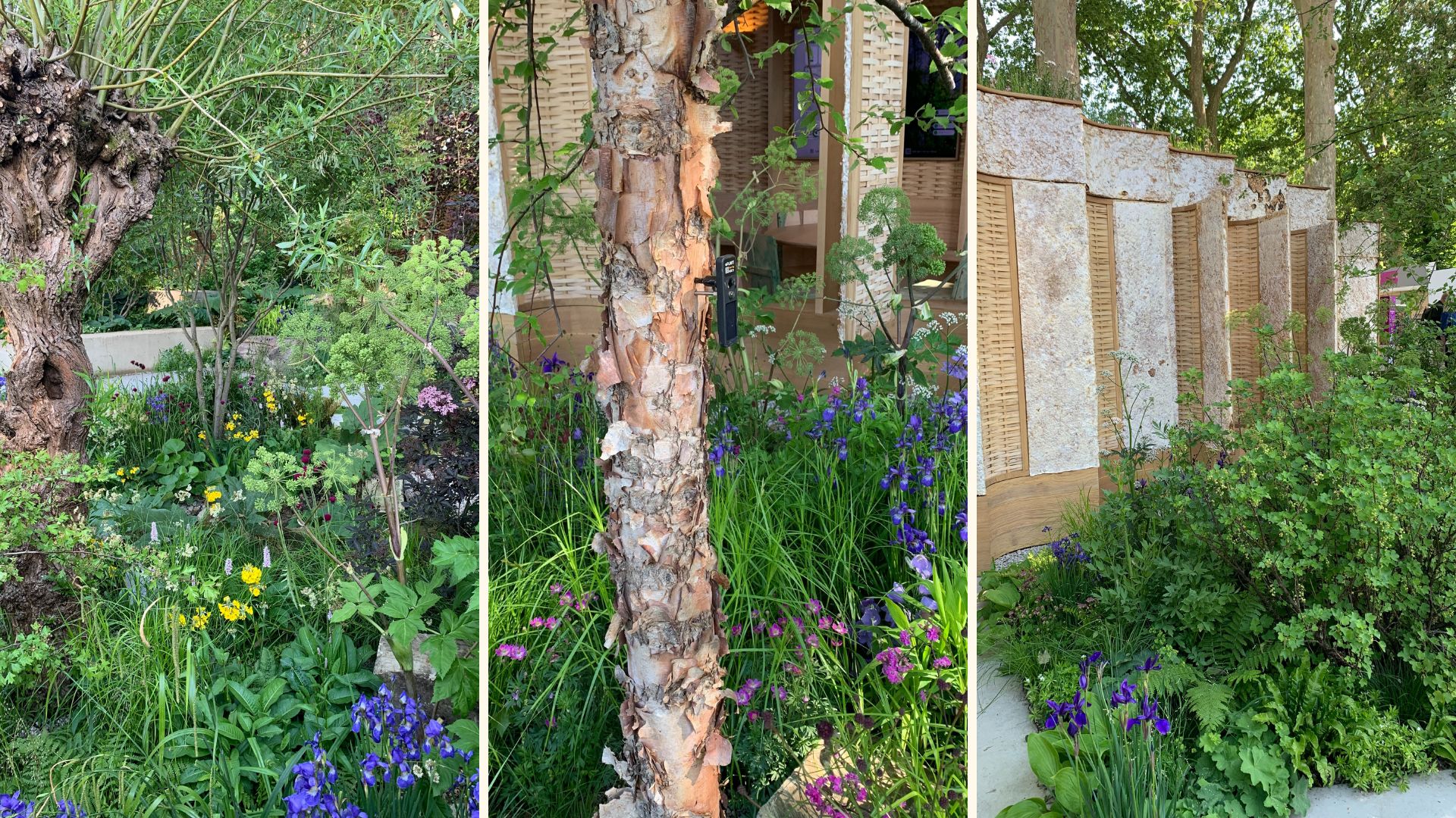 Compilation garden images to show RHS Chelsea garden Show 2025 highlights