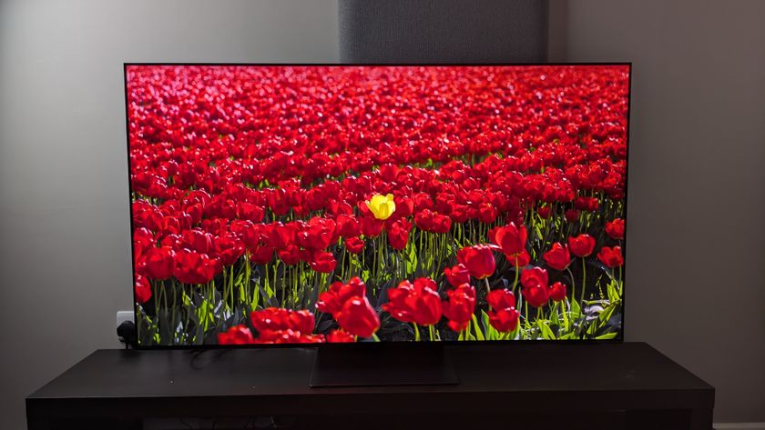 Samsung S95F met een veld vol rode bloemen in beeld