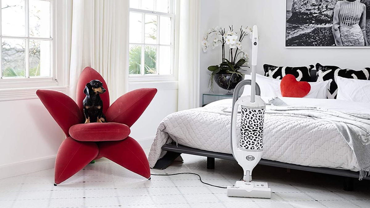 Which type of vacuum should I buy? TechRadar