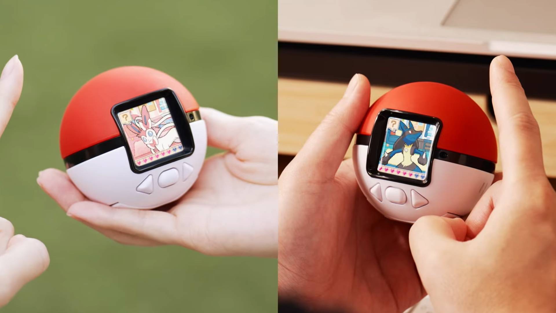 Screenshot from the Pok&amp;eacute;mon Friends Pok&amp;eacute; Ball &amp;ndash; Official Trailer YouTube video.