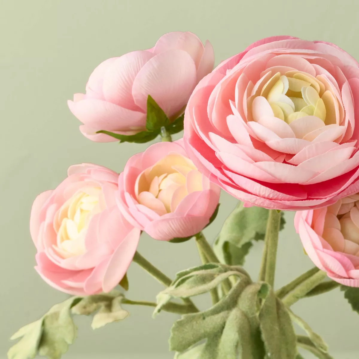 10u0026#34; Small Ranunculus Artificial Flower Arrangement - Hearth U0026#38; Handu0026#8482; With Magnolia