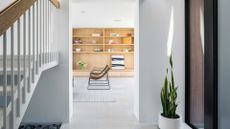 A snake plant in corner of a minimalist home 