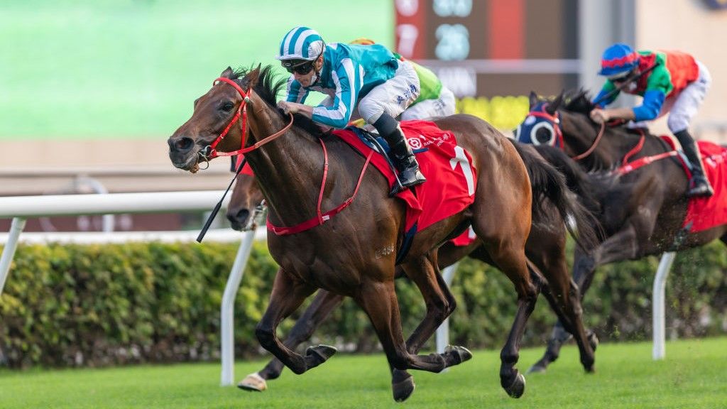 How to watch Hong Kong Cup 2022 and live stream from anywhere | TechRadar