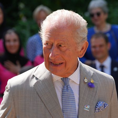 King Charles wearing a grey suit and smiling