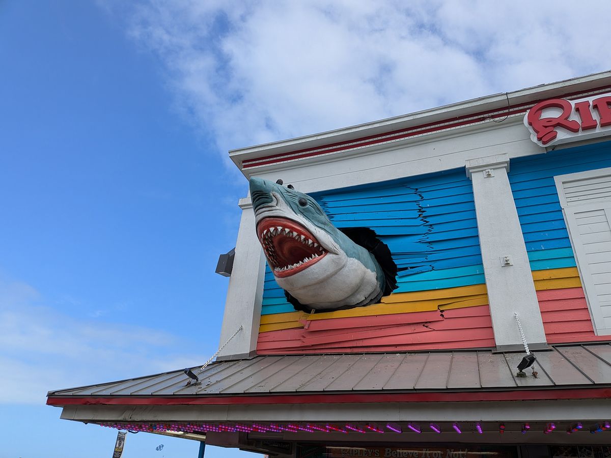 Google Pixel 9 Pro Fold camera samples