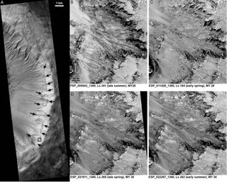 Impact Crater in Mars' Newton Basin