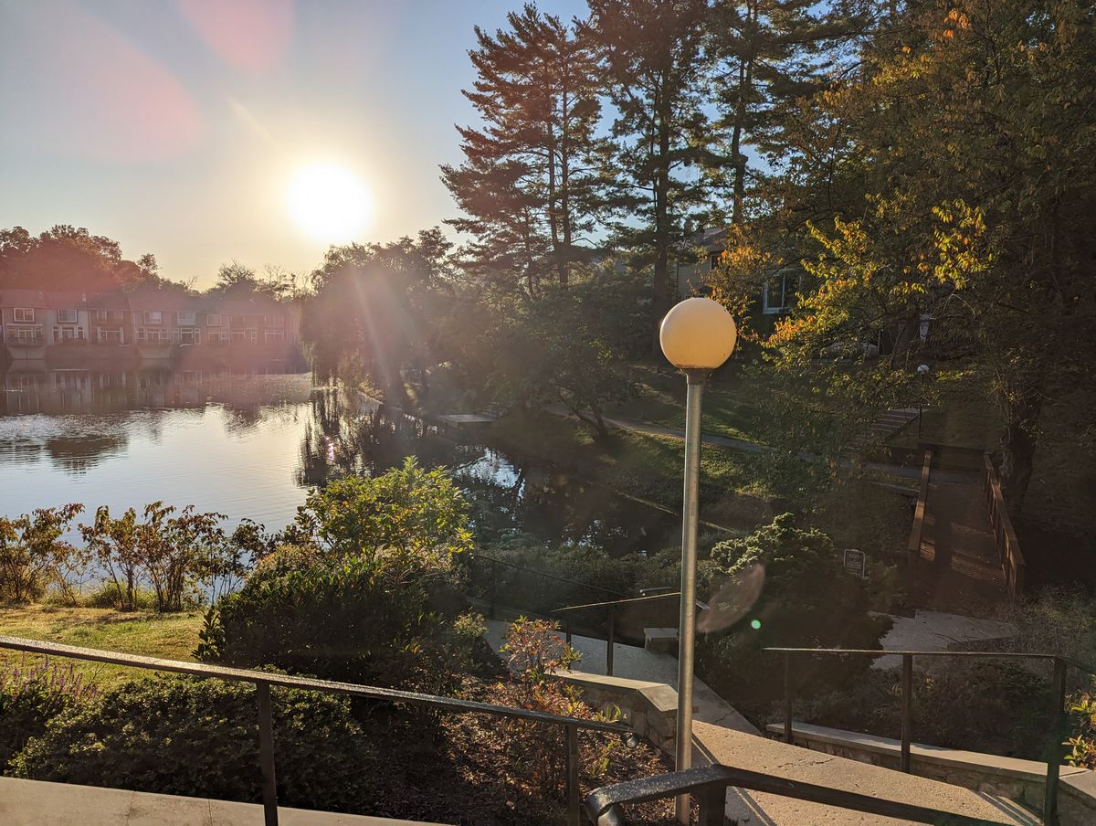 Google Pixel 7 Pro camera samples