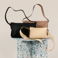 Cuyana Recycled Bag Collection