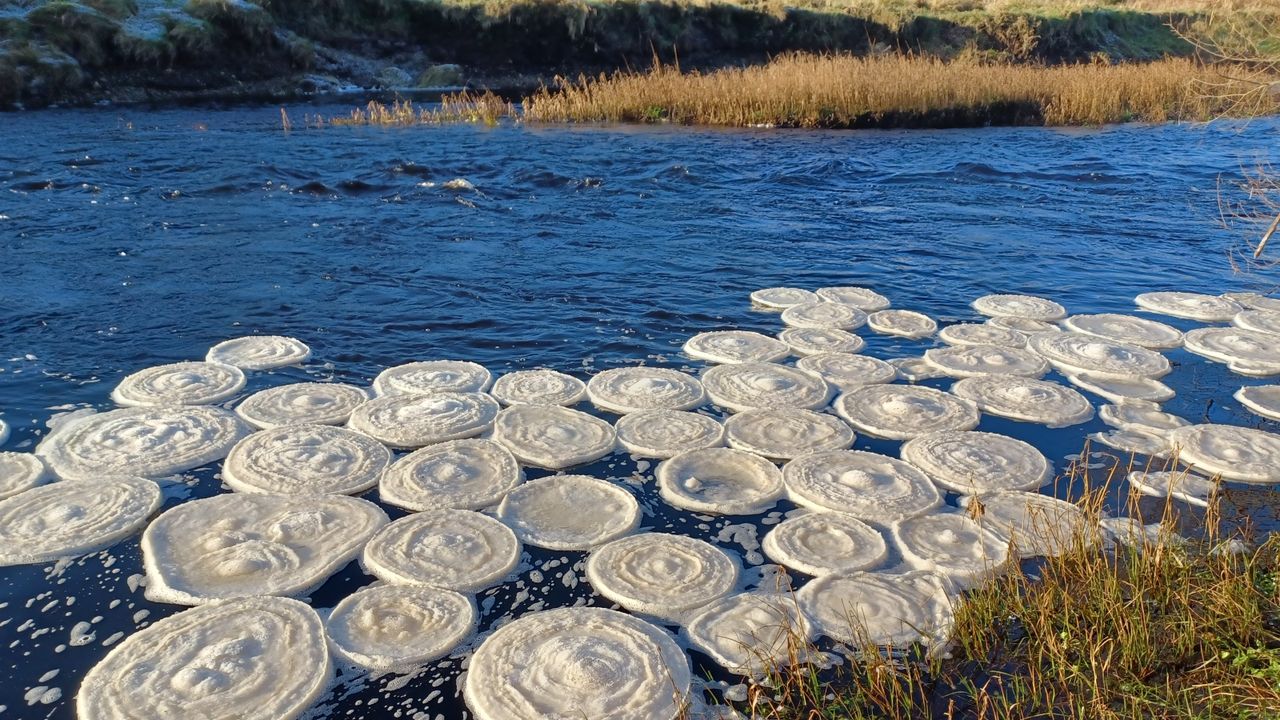 Ice pancakes collect along the bank of the River Bladnoch.