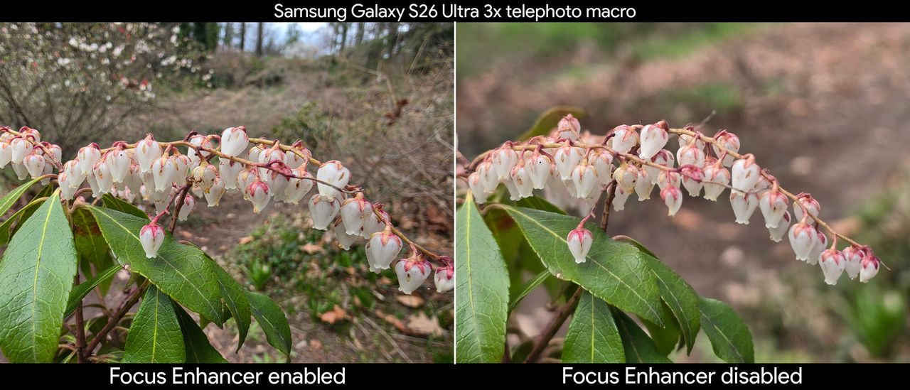 Comparing telephoto macro shots with the Focus Enhancer feature enabled and disabled