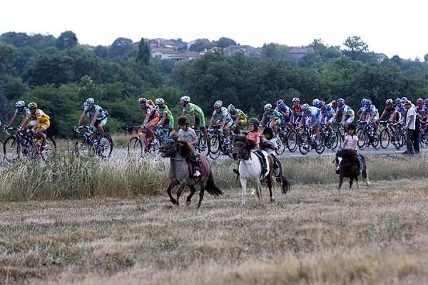 The bunch gallops along