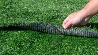 A roll of artificial turf being pulled up to show the underside