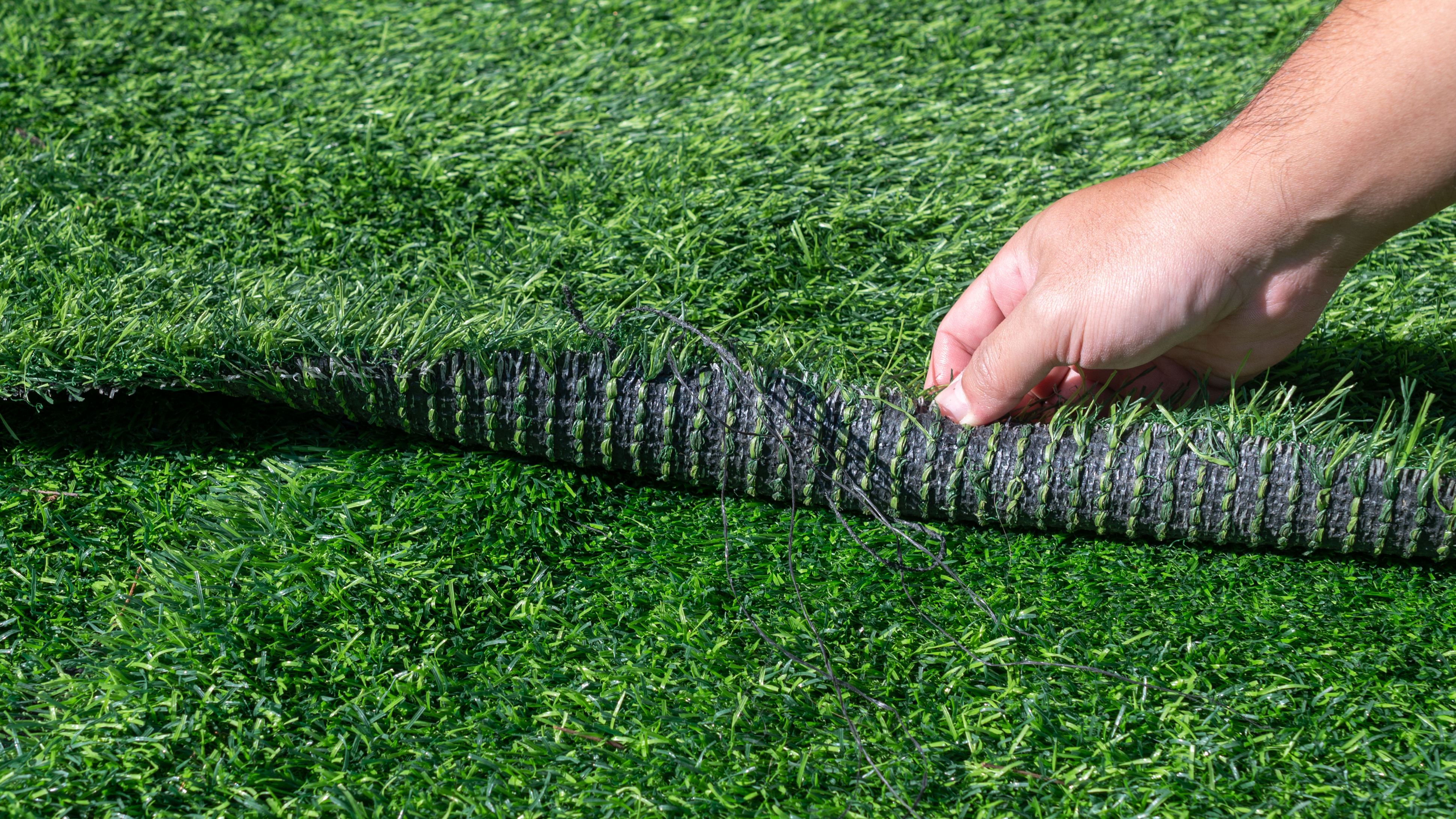 A roll of artificial turf being pulled up to show the underside
