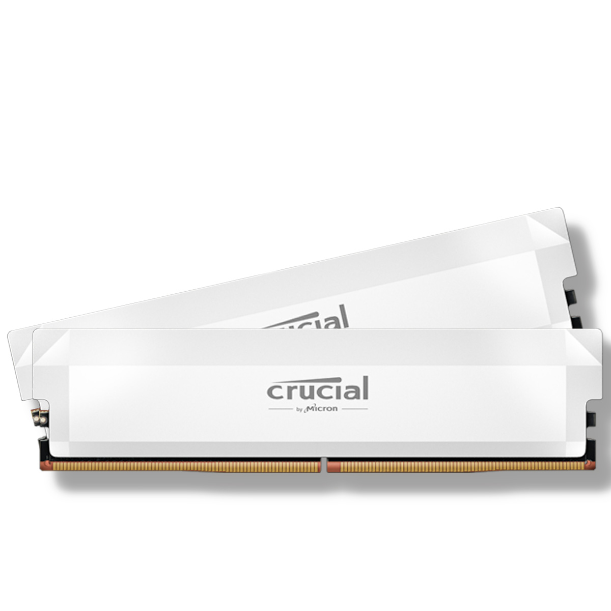 A pair of Crucial Pro Overclocking DDR5 RAM modules against a white background