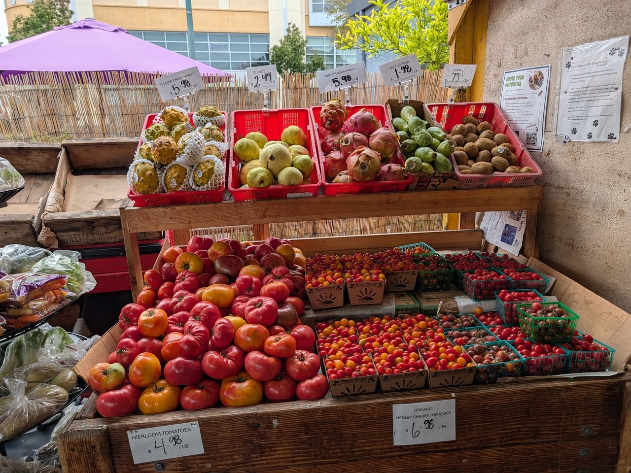 Tomatoes shot by Pixel 10 Pro