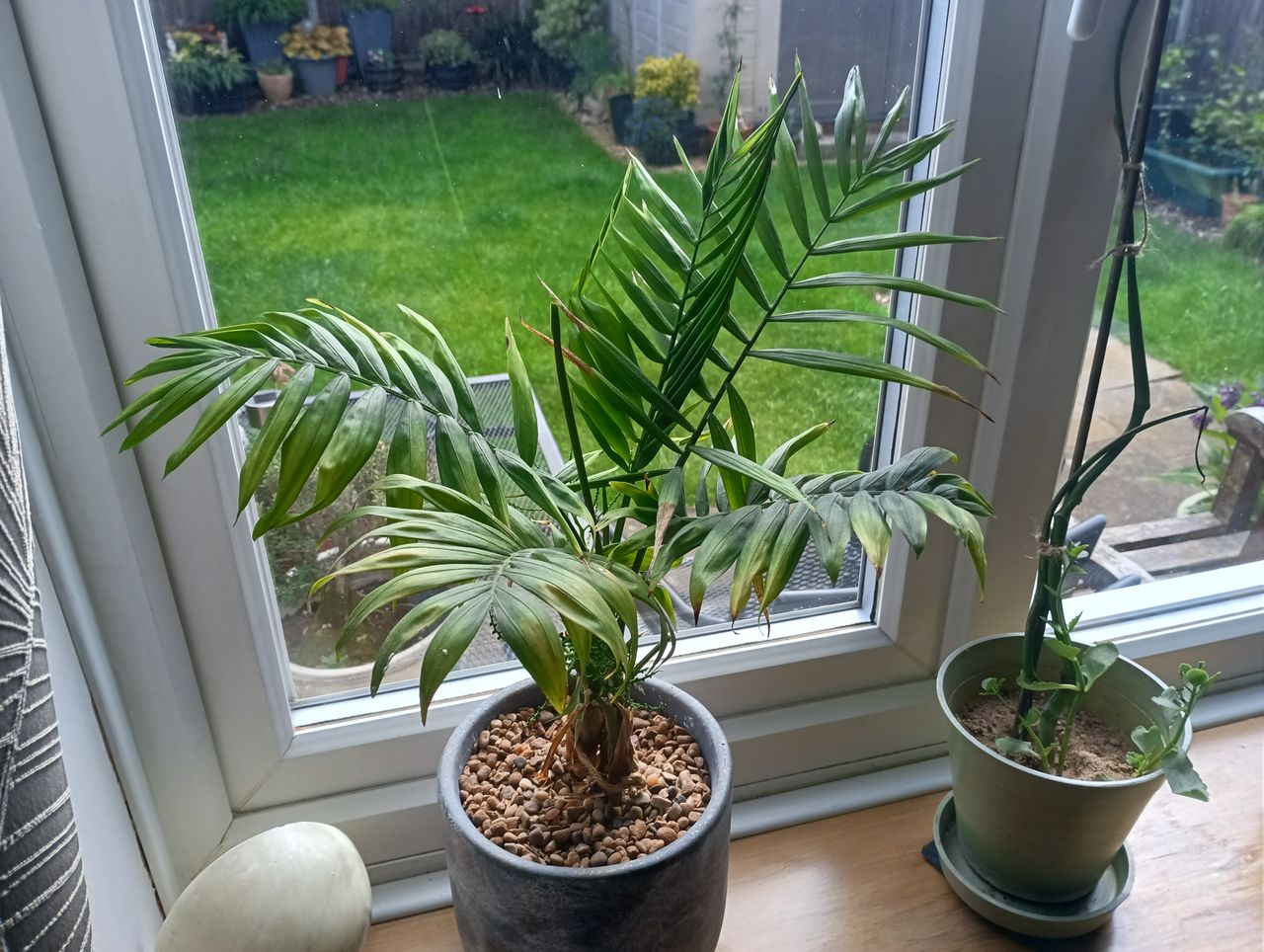 Images taken with Blackview BV9300