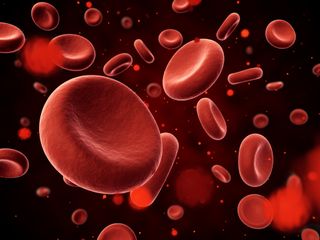 A diagram shows red blood cells