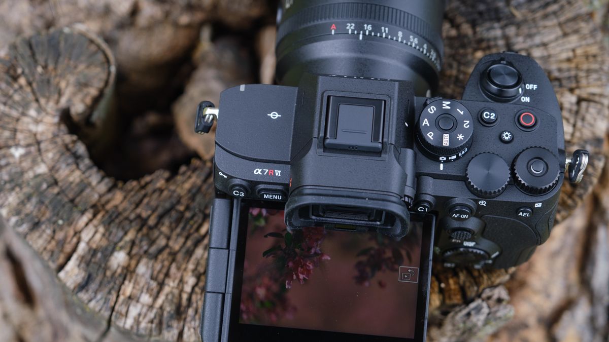 The Sony A7R VI photographed outdoors