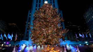 Rockefeller Center Christmas Tree -- (Photo by: Ralph Bavaro/NBC via Getty Images