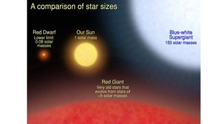 A diagram showing a huge blue-white supergiant star, with 150 solar masses, next to an even bigger red giant star. The sun looks super small comparatively, and a red dwarf pictured is even smaller!