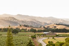 The S&eacute;ka Hills tasting room set amid a landscape of olive groves, fields and the Blue Hills