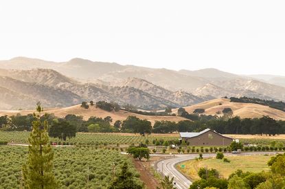 The Séka Hills tasting room set amid a landscape of olive groves, fields and the Blue Hills