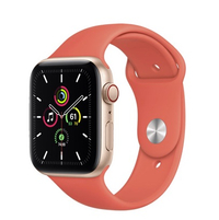 Apple Watch SE: $279 @ Apple Store