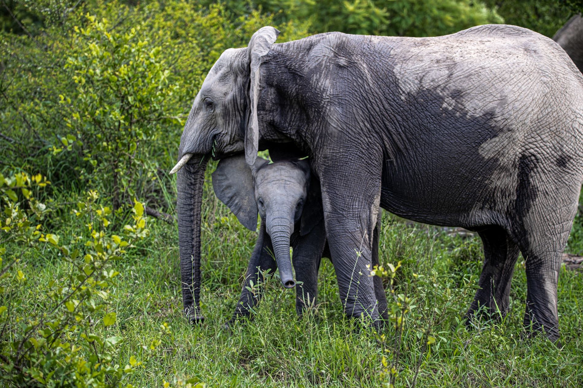 GuruShots - Nature&rsquo;s Masterpiece 2026