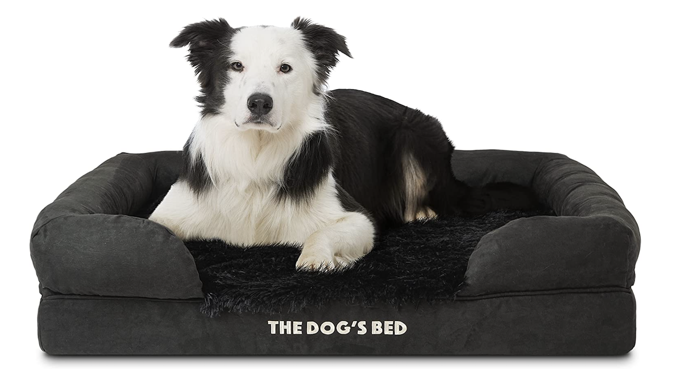 Best dog beds: orthopaedic