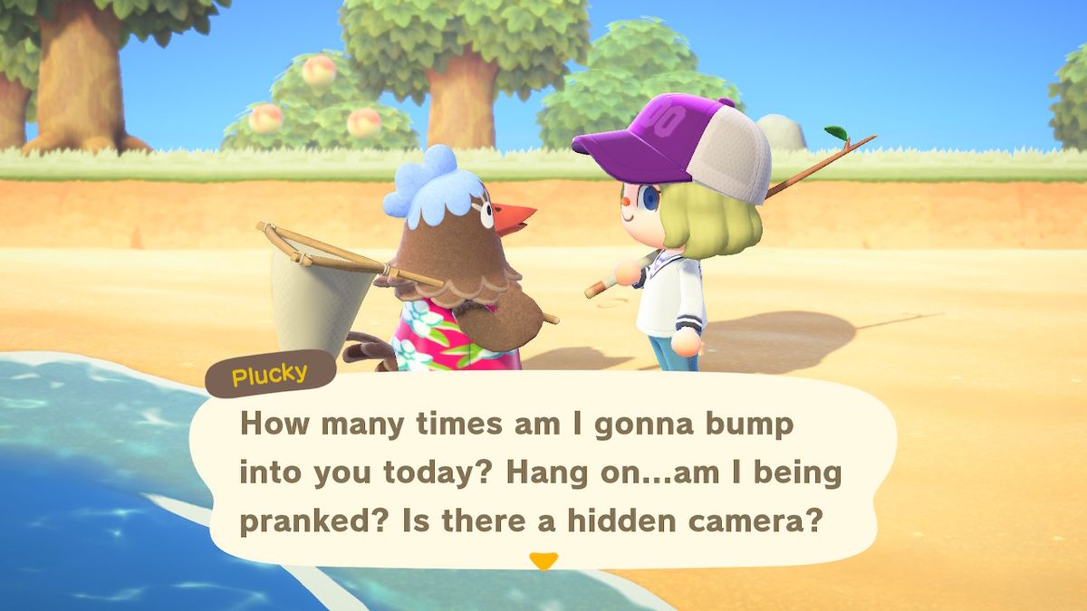 Animal Crossing New Horizons Residents
