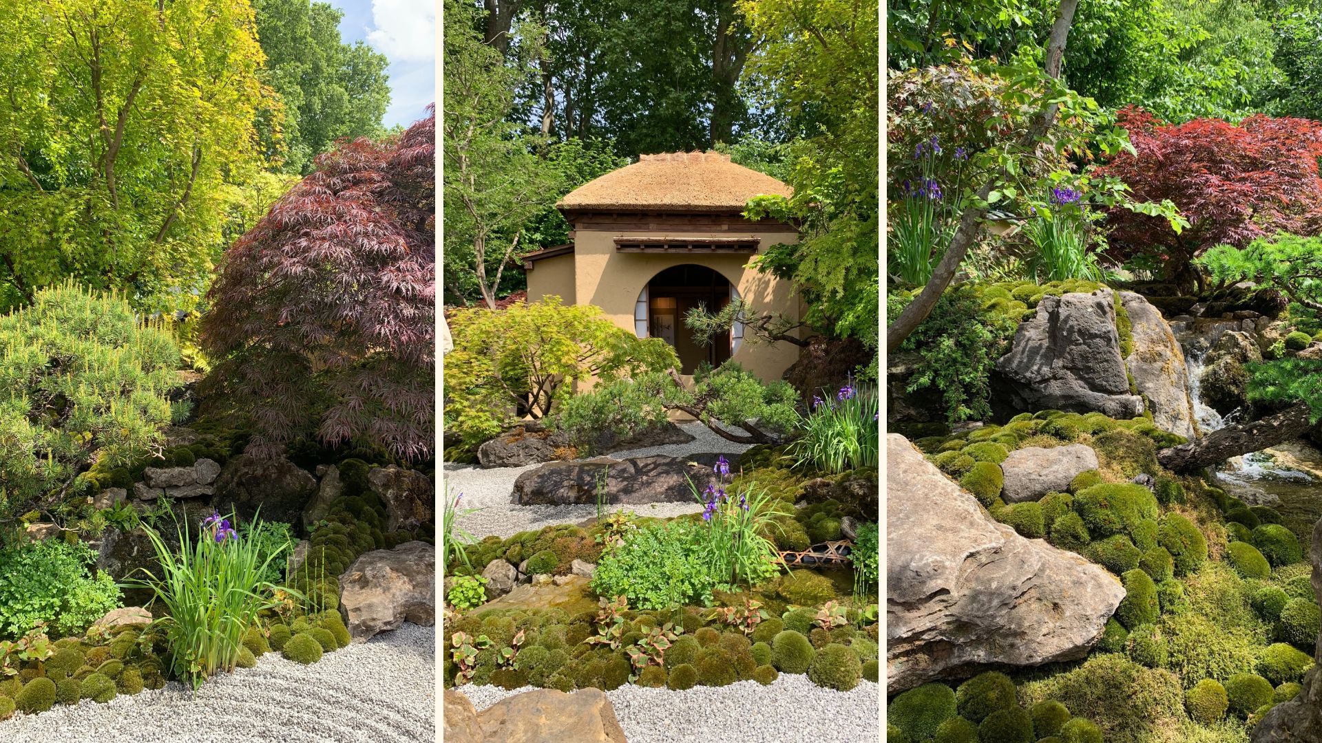 Compilation garden images to show RHS Chelsea garden Show 2025 highlights