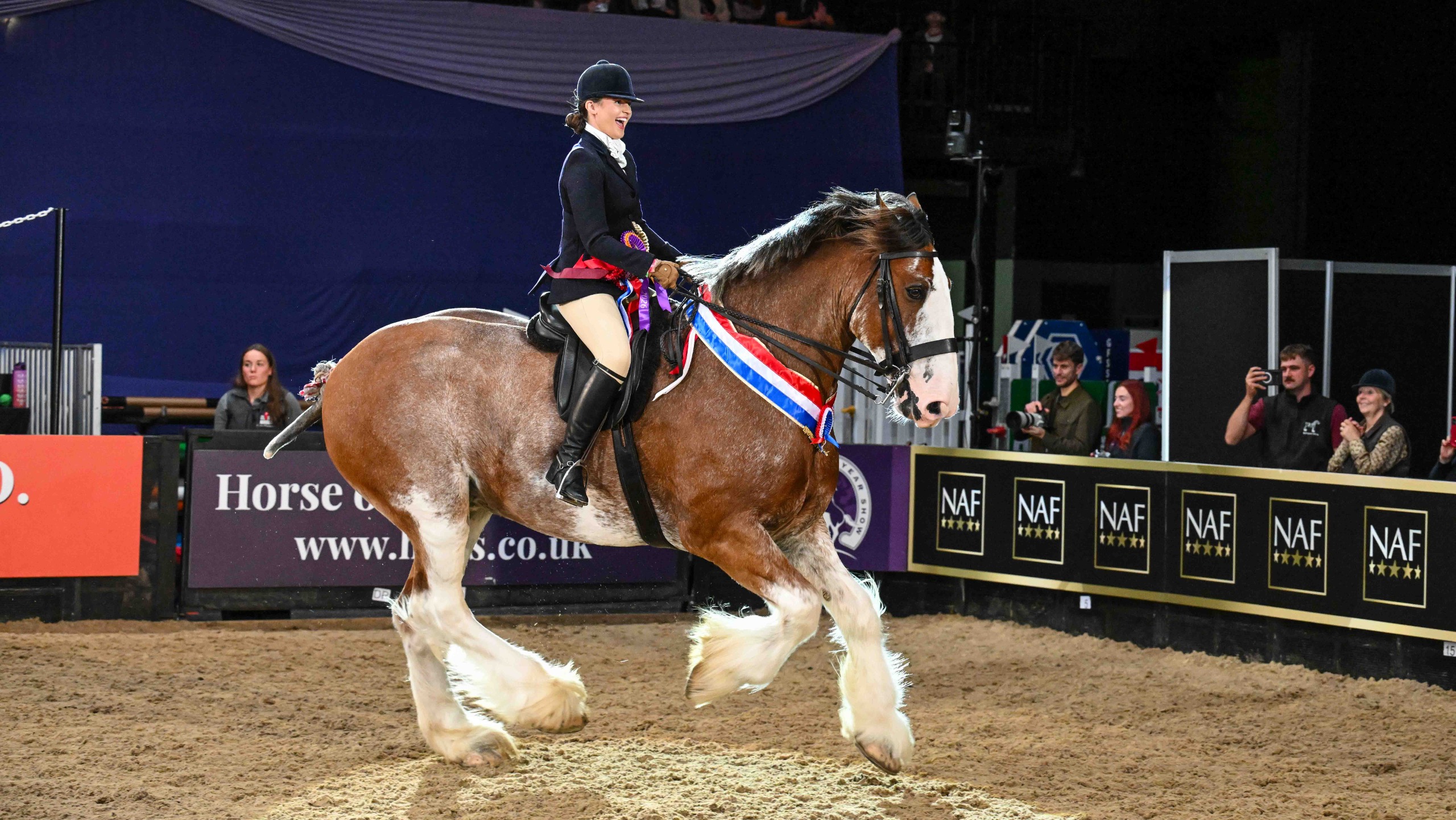 Stobilee Zac and Lucy Stewart canter around the HOYS arena with their winning sash at HOYS 2026